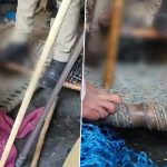 Uttar Pradesh: Leopard Allegedly Dies After Cops Stand on Cot To Neutralise Big Cat Caught in Net in Sambhal; Video Surfaces